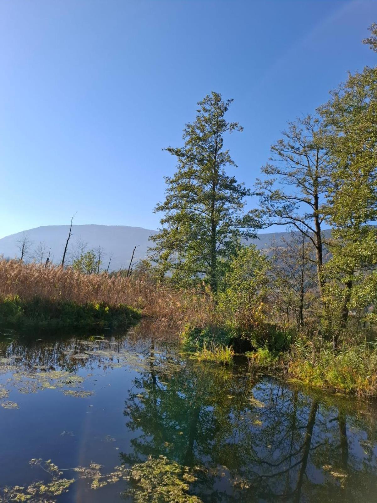 Ferienwohnung Resi mit traumhaftem Seepanorama Steindorf am Ossiacher See Exterior foto
