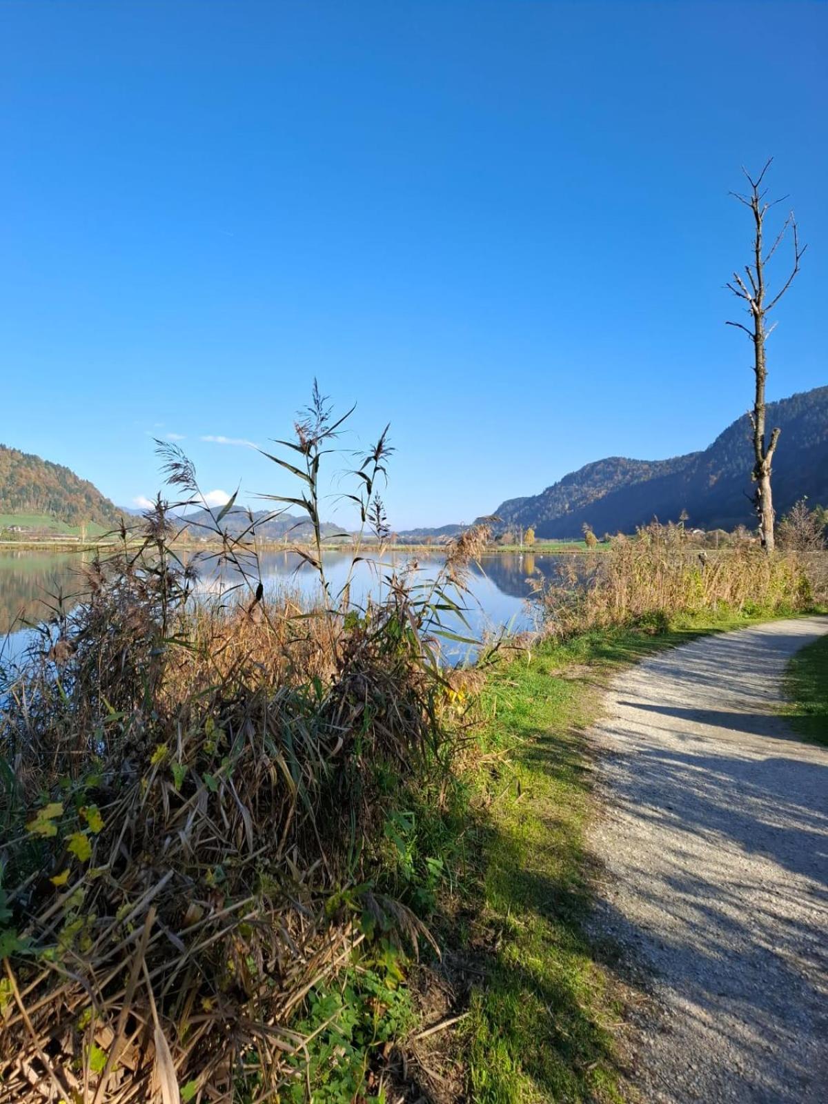 Ferienwohnung Resi mit traumhaftem Seepanorama Steindorf am Ossiacher See Exterior foto