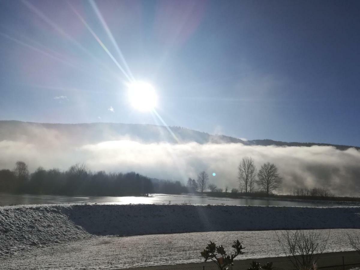 Ferienwohnung Resi mit traumhaftem Seepanorama Steindorf am Ossiacher See Exterior foto