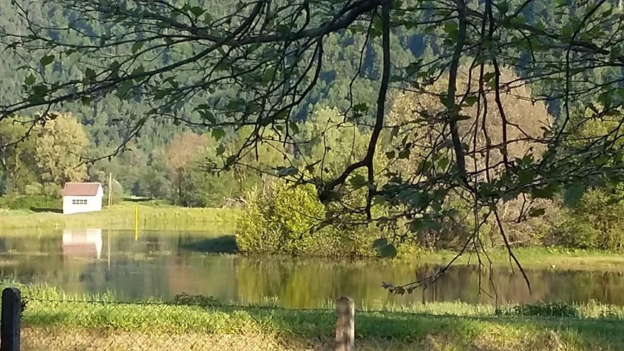 Ferienwohnung Resi mit traumhaftem Seepanorama Steindorf am Ossiacher See Exterior foto
