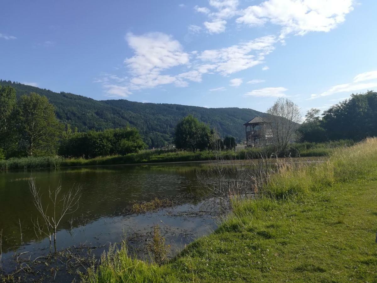 Ferienwohnung Resi mit traumhaftem Seepanorama Steindorf am Ossiacher See Exterior foto