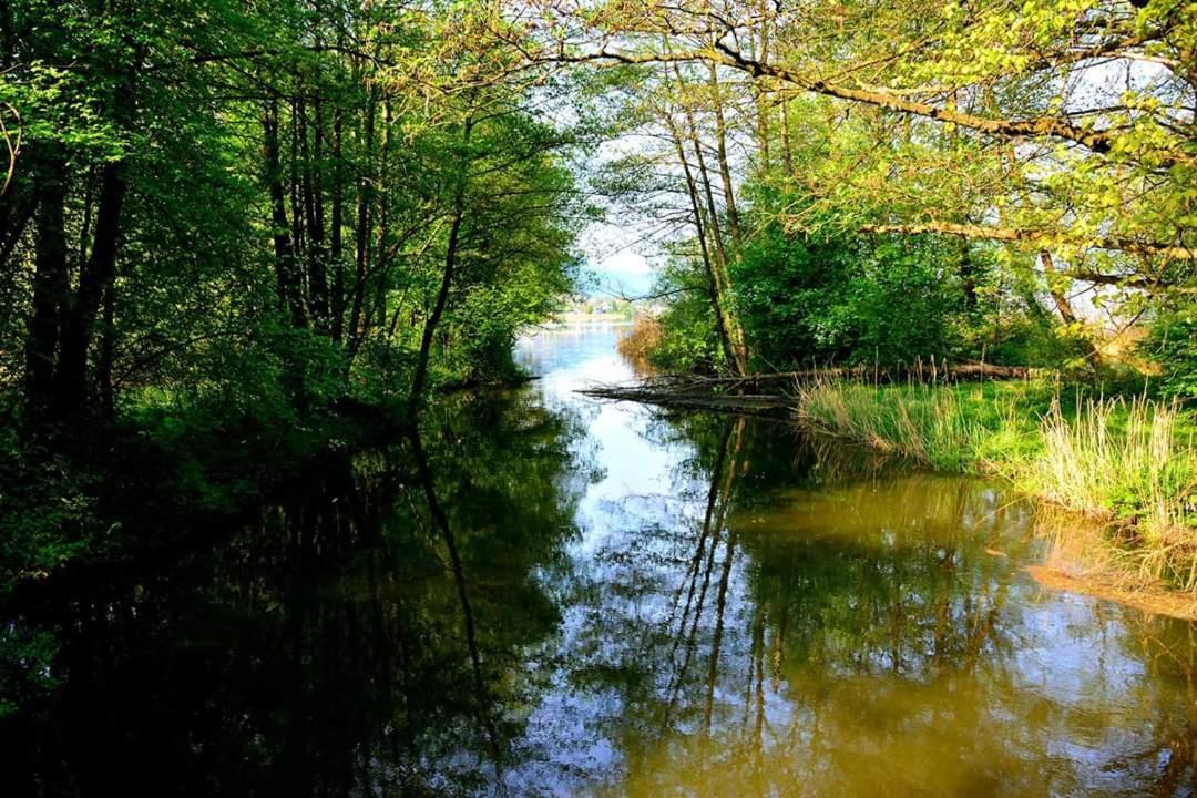 Ferienwohnung Resi mit traumhaftem Seepanorama Steindorf am Ossiacher See Exterior foto